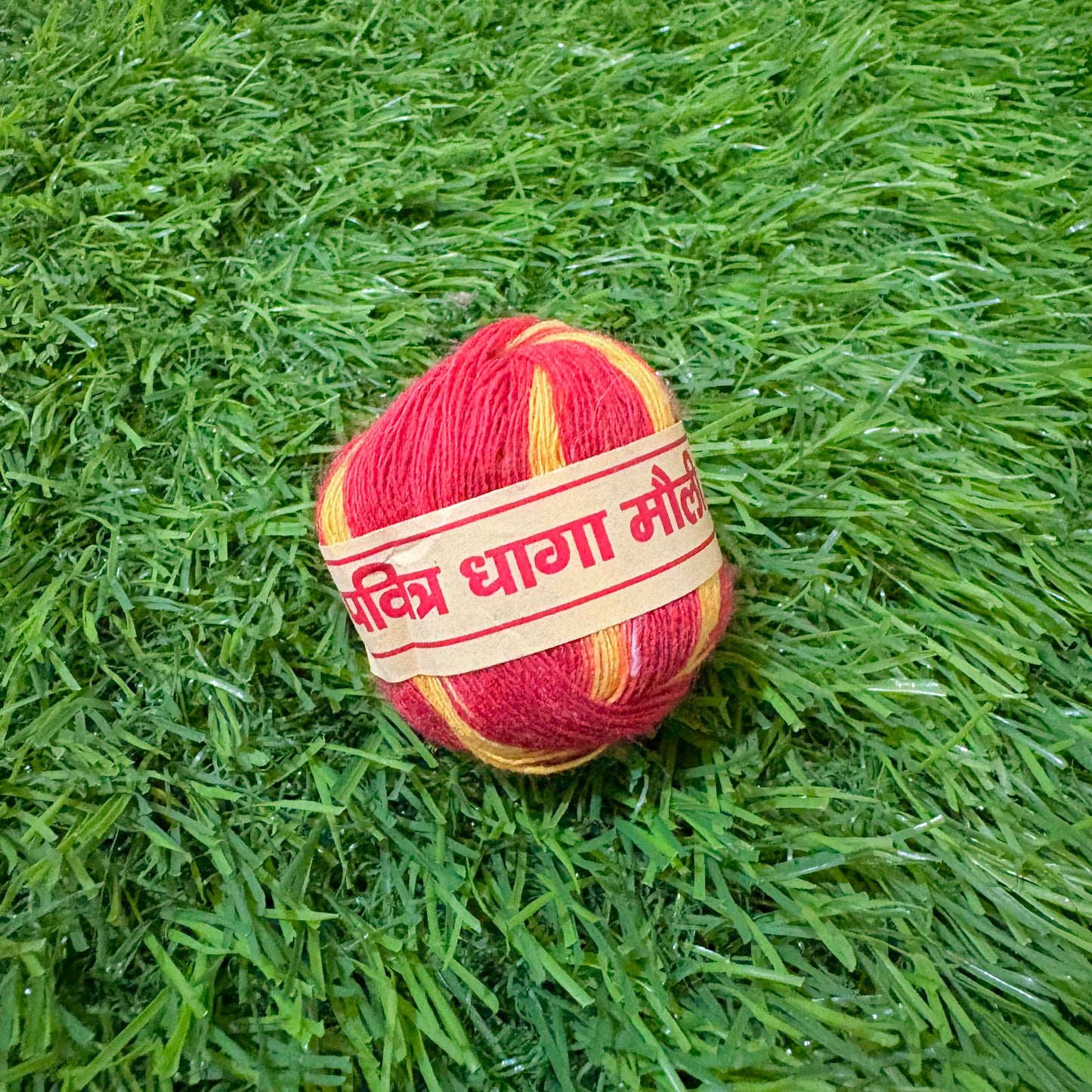 Moli Dhaaga