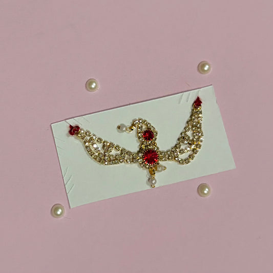 Designer Damini