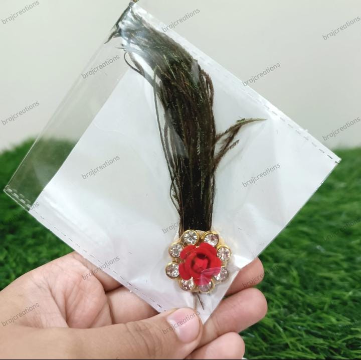 Mor Pankh Chadi Kalangi