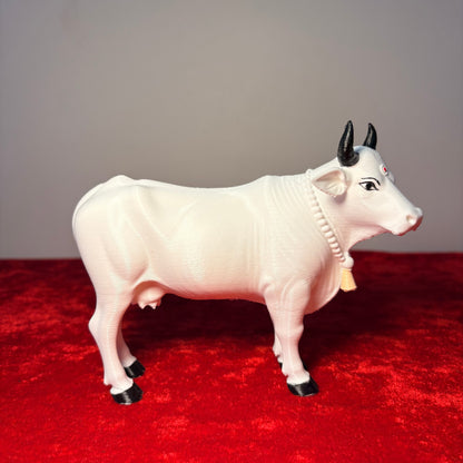 Vrindavan Cows