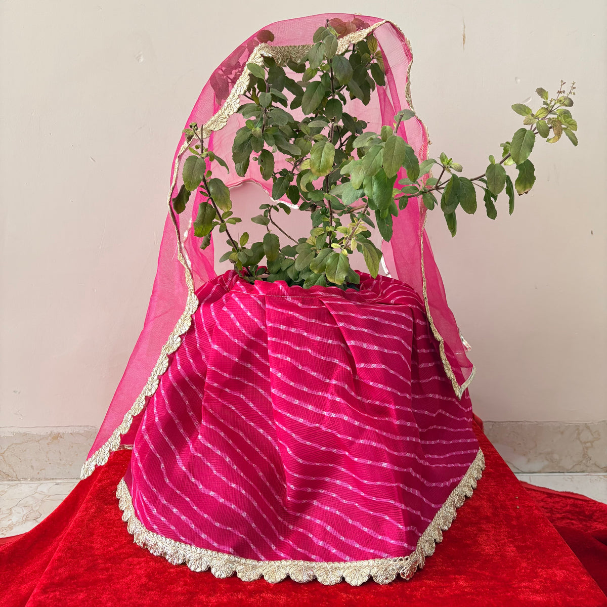 Lehriya Tulsi Poshak