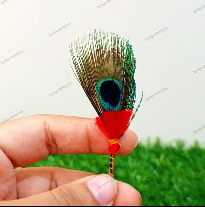 Mor pankh Kalangi Simple 